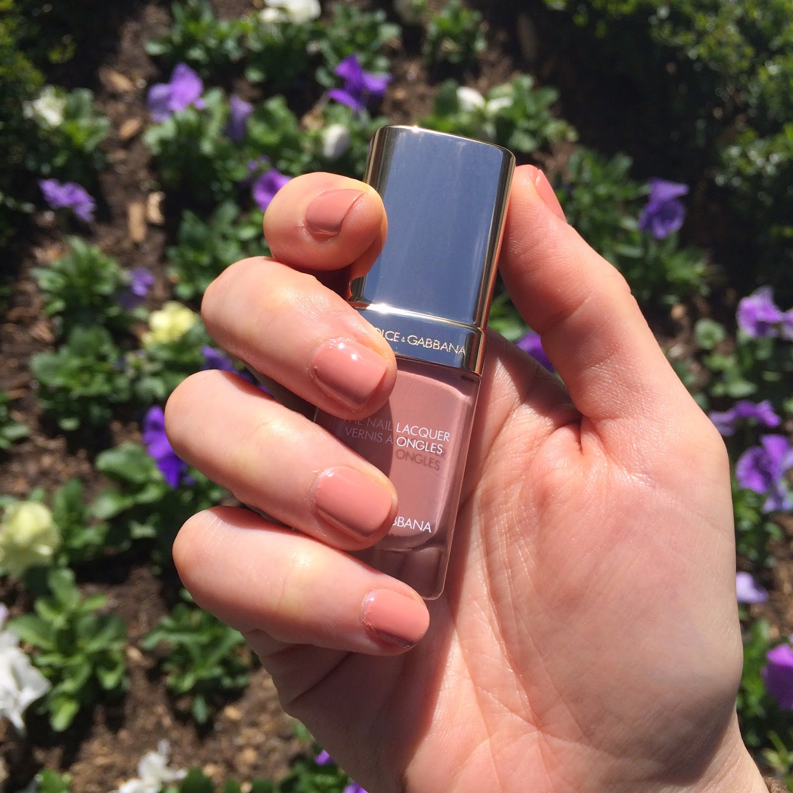 Dolce & Gabbana The Nail Lacquer In Petal | alittlebitetc