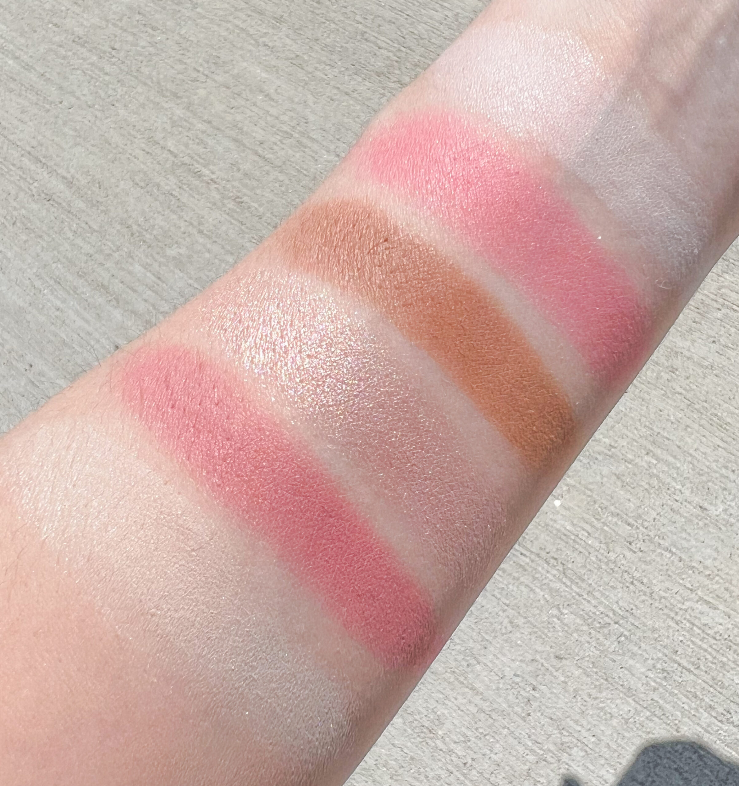 Jellyfish Palette Swatches